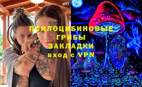винт Наволоки