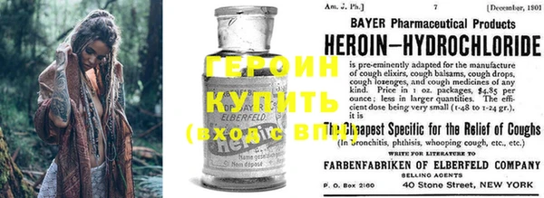гидра Бердск