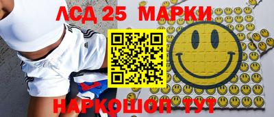 шишки Кимры