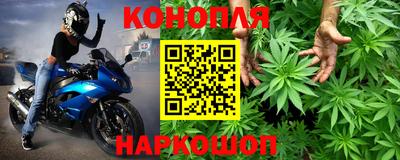 шишки Кимры