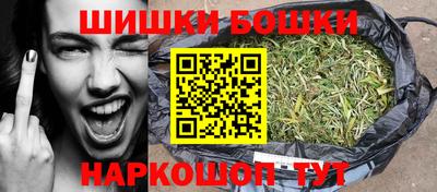шишки Кимры
