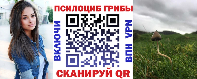 blacksprut   Лангепас  Галлюциногенные грибы прущие грибы  купить  цена 