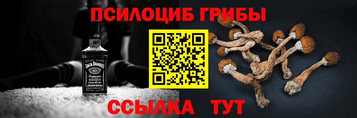 Лангепас  Псилоцибиновые грибы Magic Shrooms  Вход с VPN 
